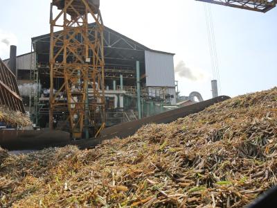 La zafra tucumana alcanza el 99% de avance