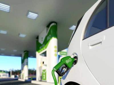 Sustentabilidad: el Gobierno actualizó los requisitos para la homologación y control de emisiones de vehículos