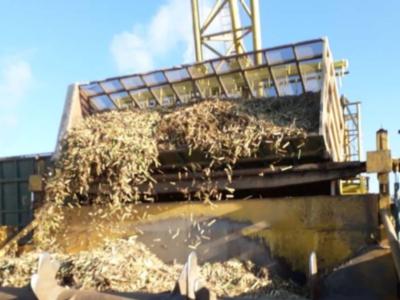 El ingenio Río Grande finaliza su zafra tras 132 días de actividad