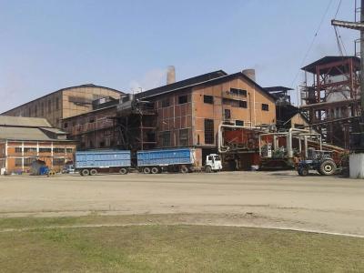 Los ingenios Bella Vista y Concepción finalizaron su zafra