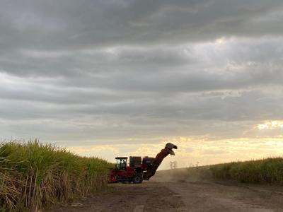 Tucumán sostiene el ritmo de la zafra pese a las lluvias