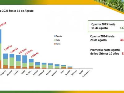 Este año se quemó menos del 50% de caña que el promedio hasta agosto