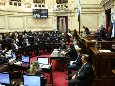 El nuevo régimen de biocombustibles obtuvo media sanción en el Senado