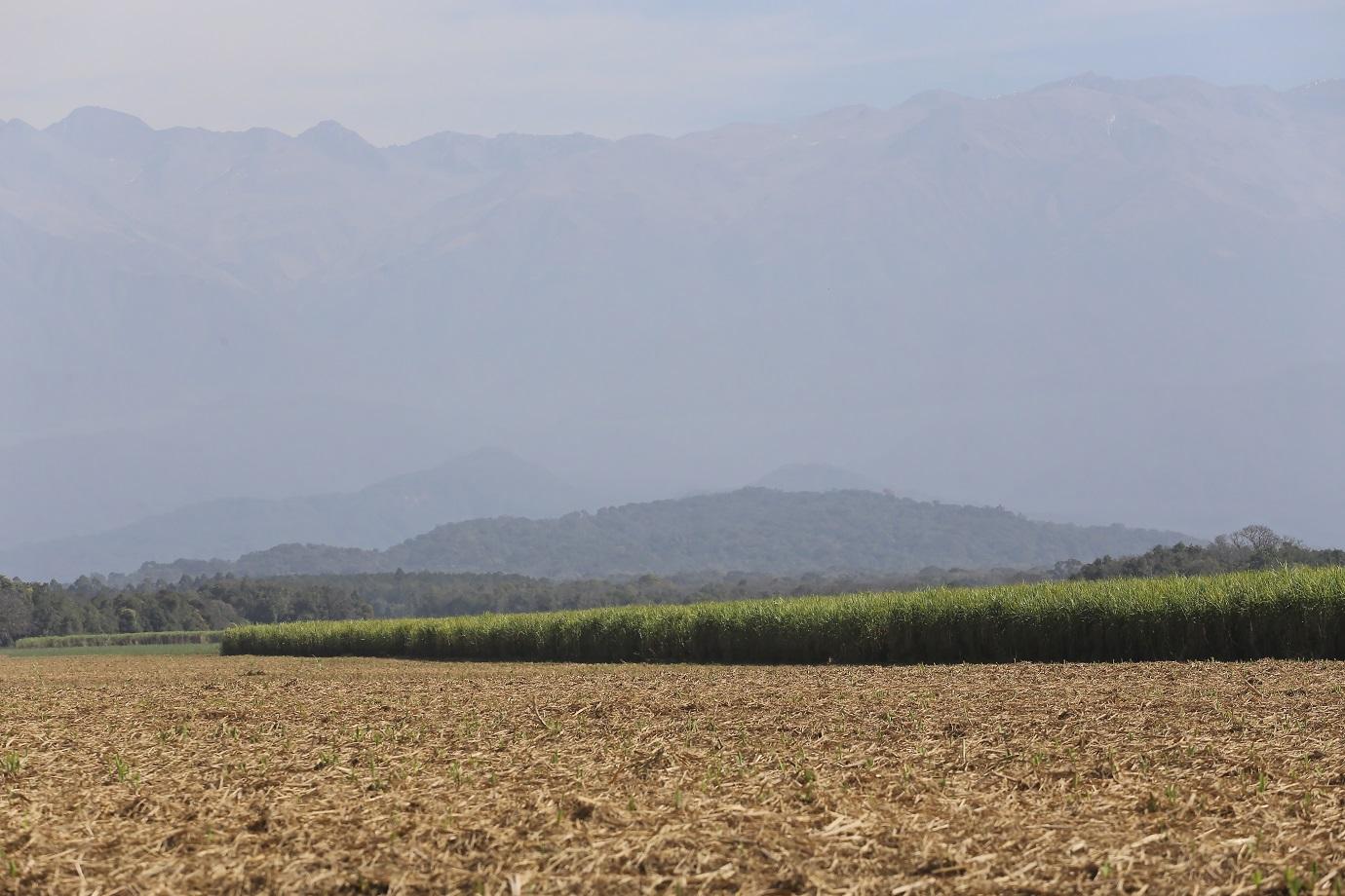 La molienda de caña avanza en el NOA