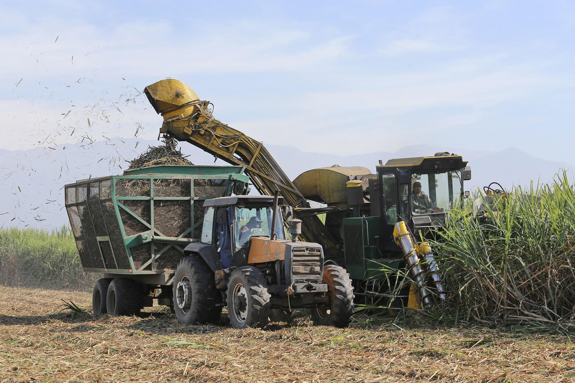 La zafra avanza con 16 ingenios en el NOA