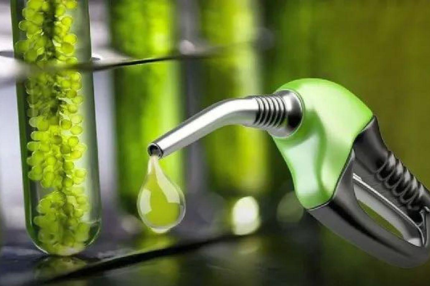 Opinión. Descarbonizar con lo que tenemos: bioetanol